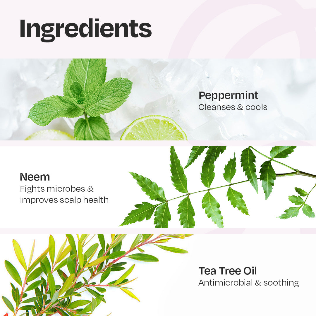 Black Friday Sale: Manetain Co-Wash